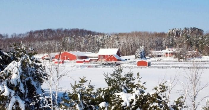 Discover the Winter Season