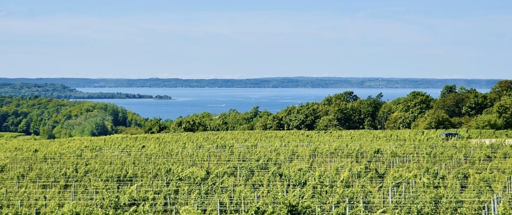 Don’t Miss These Top Michigan Wineries 2
