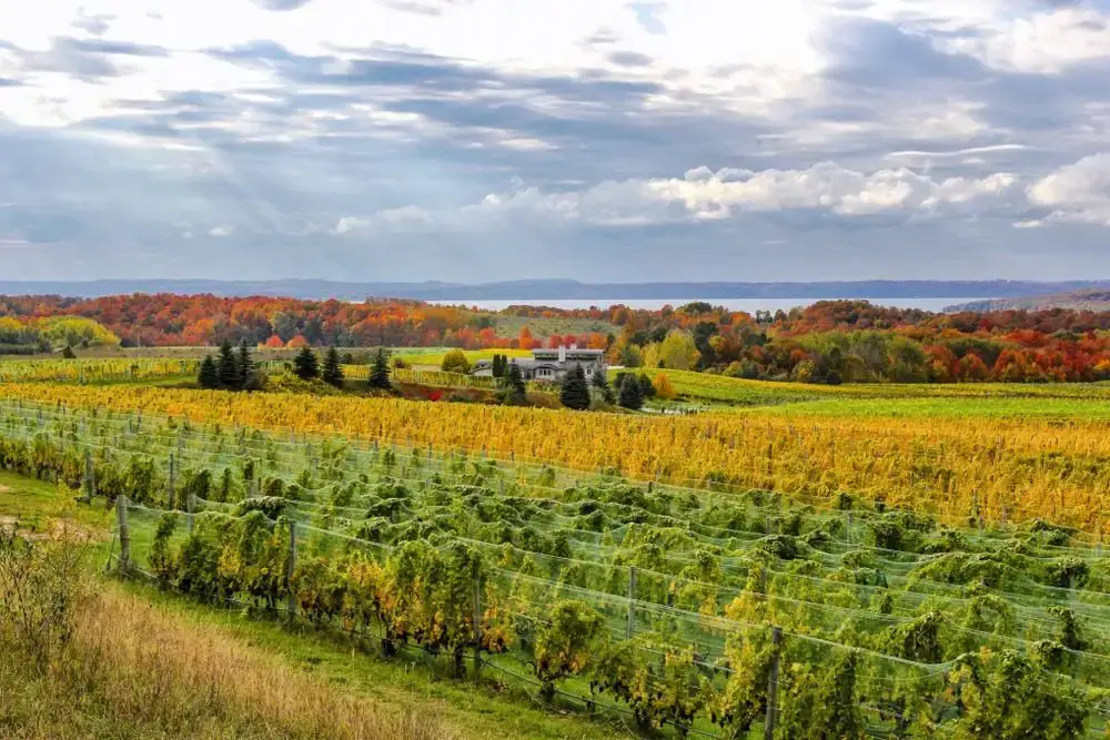 Fall,Color,In,Old,Mission,Peninsula Fantastic Breweries in Traverse City 2